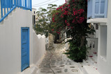 Fototapeta Do pokoju - Quiet street with flowers in Mykonos, Greece