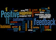 © kalpis - Positive feedback word cloud concept 3