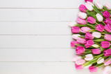 Fototapeta  - Pink tulip on the white background. Easter background.