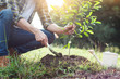 © snowing12 - Young man kneeling during planting a tree, profession concept