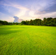 beautiful green grass field public park against morning sky background