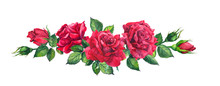 Red Roses Bouquet. Isolated Watercolor Illustration