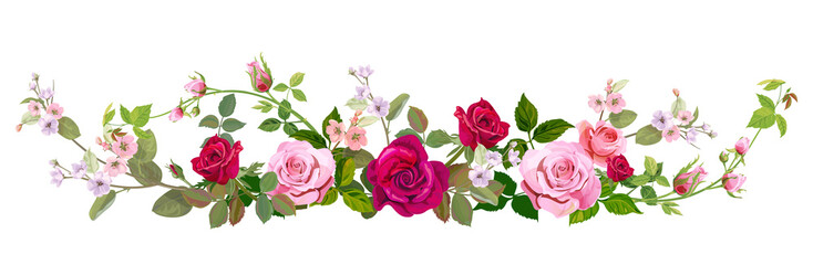 Panoramic view: bouquet of roses, spring blossom. Horizontal border: red, mauve, pink flowers, buds, green leaves on white background. Digital draw illustration in watercolor style, vintage, vector