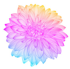 hand drawing rainbow flower, vector