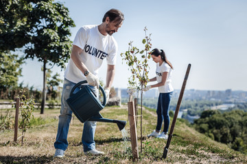 Poster - Care about nature. Serious smart handsome man holding a watering can and watering a tree while working in the garden