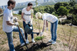 © Viacheslav Yakobchuk - Eco organization. Positive nice joyful volunteers standing around the tree and looking at it while planting it