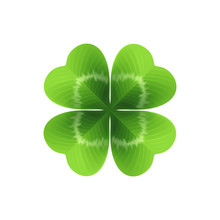 Four Leaf Clover Isolated On White. Vector Illustration