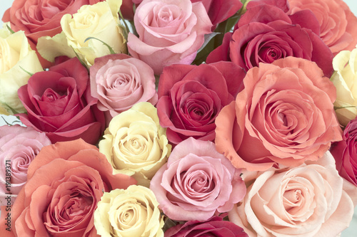 Bouquet of roses