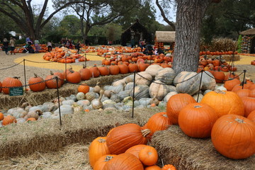 Dallas Arboretum