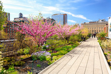 Spring At The High Line In New York City