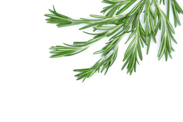  Fresh green rosemary isolated on a white background with copy space for your text. Top view. Flat lay