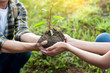 © snowing12 - couple planting and watering a tree together on a summer day in park, volunteering, charity people and ecology Environment and ecology concept.