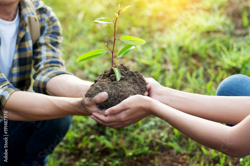 Fotografía couple planting and watering a tree together on a summer day in park, volunteering, charity people and ecology Environment and ecology concept