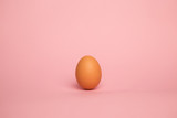 Close up of brown egg in line on plain pastel pink background wi