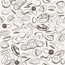 Nut seamless vintage sketch pattern. Hand drawn nuts sketches on white background.