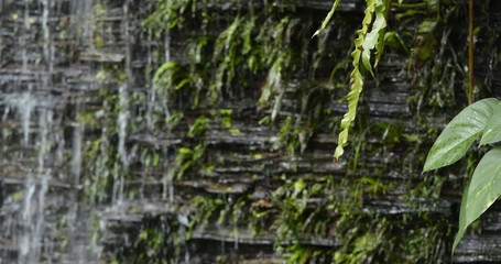 Poster - Brick wall and waterfall in the park