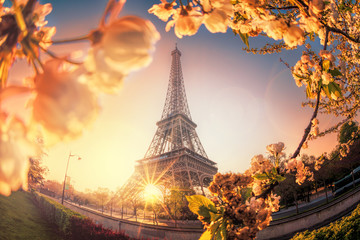  Wieża Eiffla w czasie wiosny w Paryżu, Francja