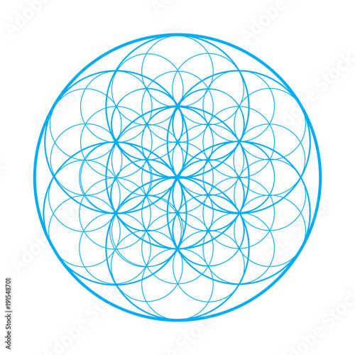 Vector sacred geometry illustration Flower of Life, also known as seed