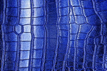 Blue texture of alligator skin, reptile.