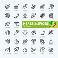 Wall Mural - Spices, condiments and herbs  - minimal thin line web icon set. Outline icons collection. Simple vector illustration.