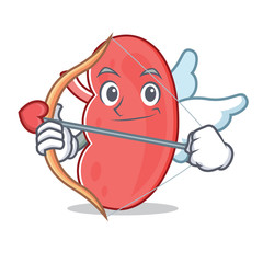 Poster - Cupid kidney character cartoon style