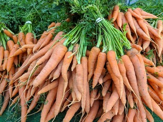 CARROTS 