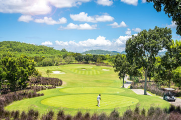 Green grass and trees at golf course with blue cloud sky background 