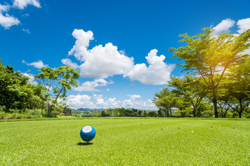 Wall Mural - Blue Golf ball put on green grass of golf course