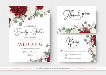 Wall Mural - Wedding floral invite, save the date, thank you, rsvp card design with red and white garden rose flowers, seeded eucalyptus branches, green leaves, amaranthus delicate decor. Vector art templates set