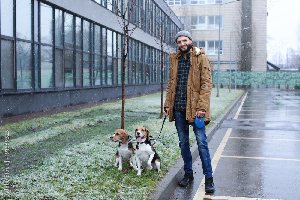 Handsome young hipster walking his dogs outdoors on snowy day