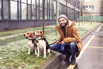 Poster - Handsome young hipster walking his dogs outdoors on snowy day