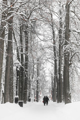 two lovers walking in the winter Park, lots of snow, winter, couple, people, love