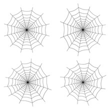 Spider Web Icon