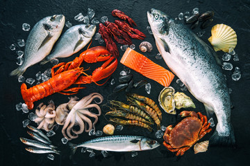 Wall Mural - Fresh fish and seafood arrangement on black stone