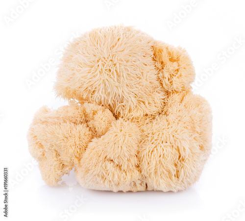 Cuadros en Lienzo lion mane mushroom isolated on white background