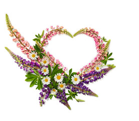Wall Mural - wild flowers pink and violet lupin (lupinus albus) and daisies in the shape heart on a white backgro