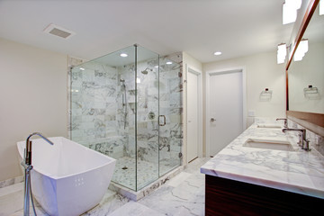 sleek bathroom with freestanding bathtub and walk in shower