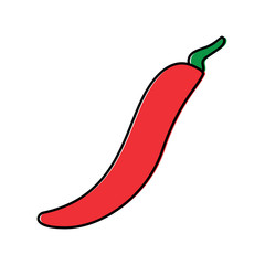 Wall Mural - chili pepper vegetable fresh condiment food vector illustration