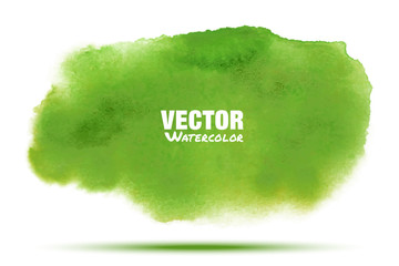 Bright green - yellow transparent spring watercolor vector smear stain isolated on white background with realistic paper watercolor texture. Blur  Aquarelle green brushstroke wash drawing spot