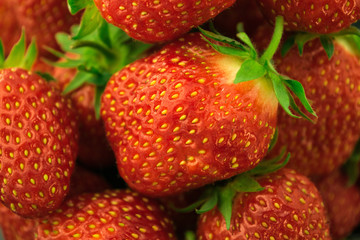 Fresh red strawberry