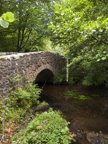 Fotografie, Obraz Typical old stone bridge over the River Bovey at North Bovey on the edge of Dart