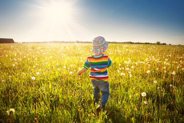 Baby boy standing in grass on the fieald with dandelions