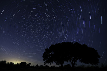 Turning on the north. Starry sky with the route made by the stars revolving around the polar star that marks us north.