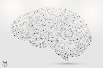 the human brain consists of lines and triangles. the illustration is made up of polygons and points,