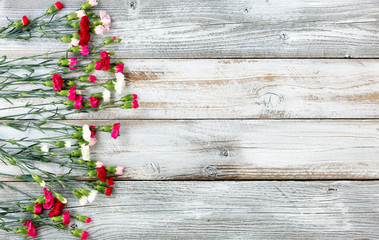 Sticker - Colorful carnation flowers forming left border on white weathered wooden boards