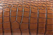 Tint Brown Crocodile Skin Texture
