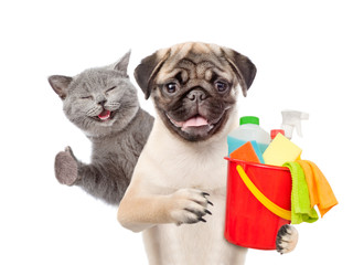Poster - Cleaning concept. Kitten and Puppy holds bucket with washing fluids and rags in paws and showing thumbs up. isolated on white background