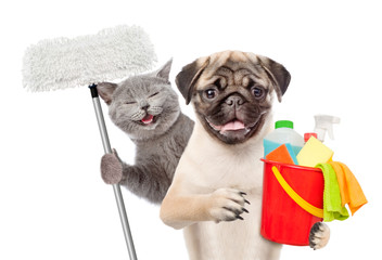 Poster - Cleaning concept. Cat and dog holds bucket with washing fluids and mop in paw. isolated on white background