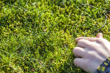 Boy Showing The Growing Moss Amongst The Lawn