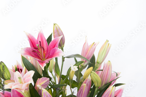 Fotografía The beautiful lilly flowers are on white background.